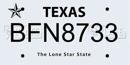 BFN8733 Texas License Plate