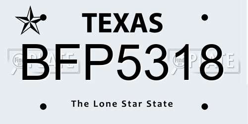 BFP5318 Texas License Plate