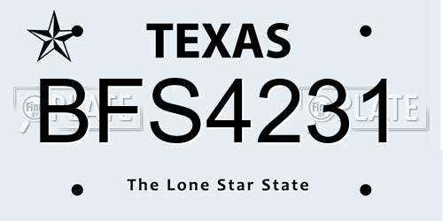 BFS4231 Texas License Plate