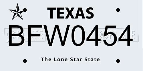 BFW0454 Texas License Plate