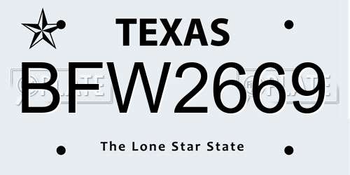 BFW2669 Texas License Plate