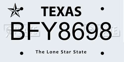 BFY8698 Texas License Plate