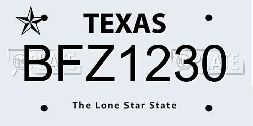 BFZ1230 Texas License Plate
