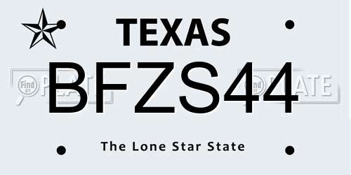 BFZS44 Texas License Plate