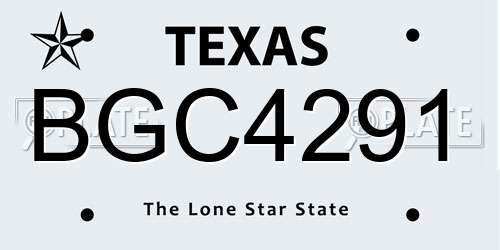 BGC4291 Texas License Plate