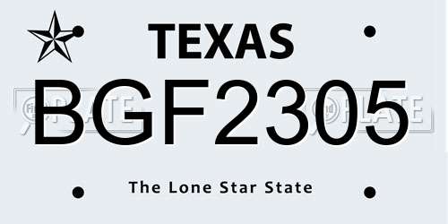 BGF2305 Texas License Plate