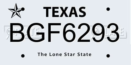 BGF6293 Texas License Plate