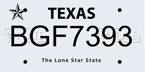 BGF7393 Texas License Plate