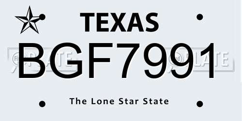 BGF7991 Texas License Plate