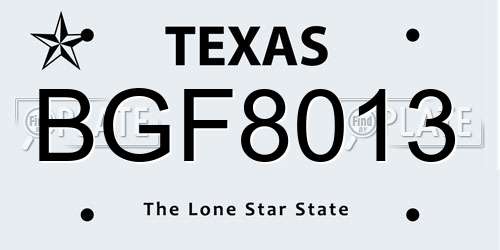BGF8013 Texas License Plate