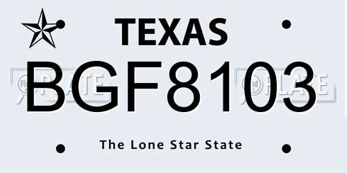 BGF8103 Texas License Plate