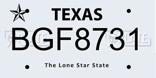BGF8731 Texas License Plate