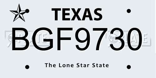 BGF9730 Texas License Plate