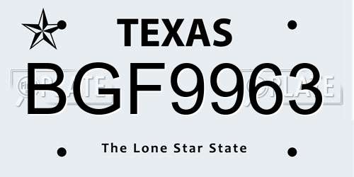 BGF9963 Texas License Plate