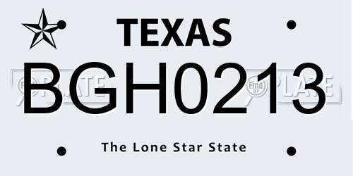 BGH0213 Texas License Plate