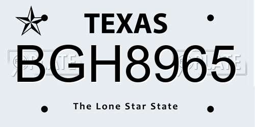BGH8965 Texas License Plate