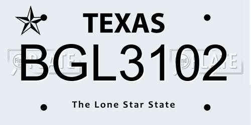 BGL3102 Texas License Plate