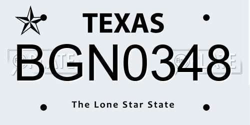 BGN0348 Texas License Plate