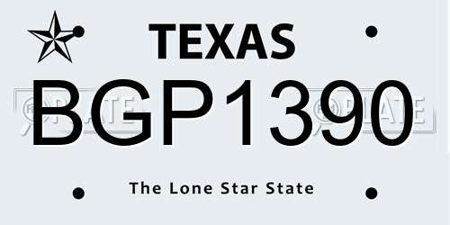 BGP1390 Texas License Plate