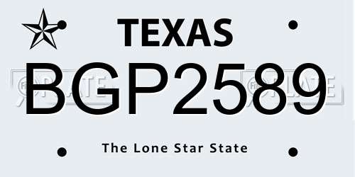 BGP2589 Texas License Plate