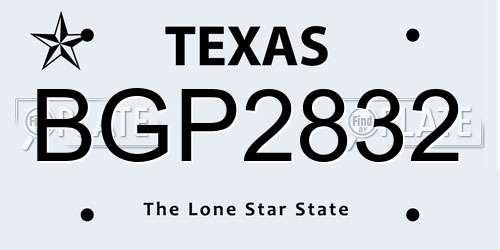 BGP2832 Texas License Plate