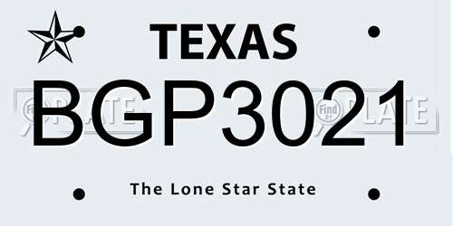 BGP3021 Texas License Plate