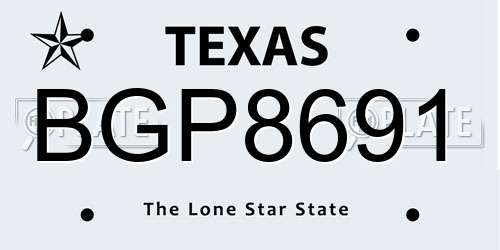 BGP8691 Texas License Plate