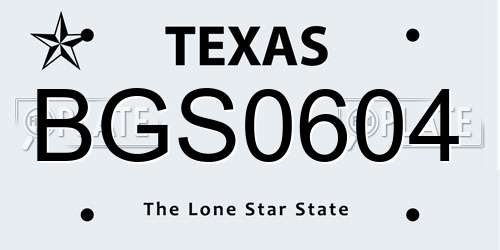 BGS0604 Texas License Plate