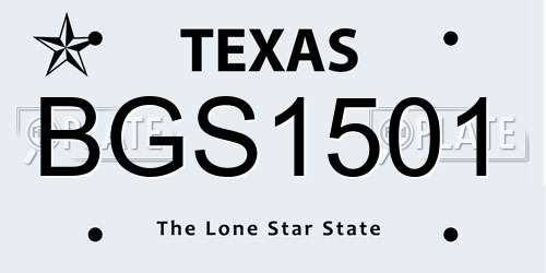BGS1501 Texas License Plate