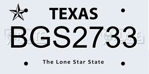 BGS2733 Texas License Plate