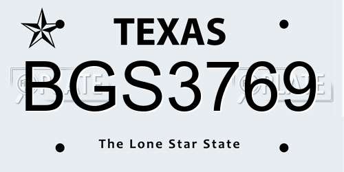 BGS3769 Texas License Plate