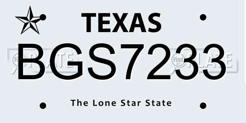 BGS7233 Texas License Plate