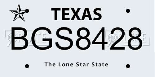 BGS8428 Texas License Plate
