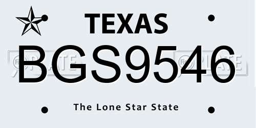 BGS9546 Texas License Plate