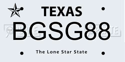 BGSG88 Texas License Plate