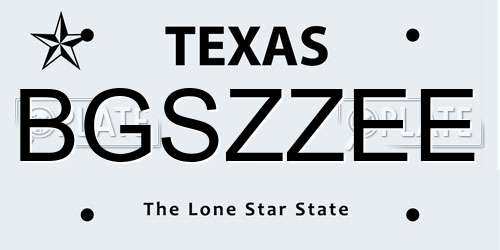 BGSZZEE Texas License Plate