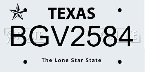 BGV2584 Texas License Plate