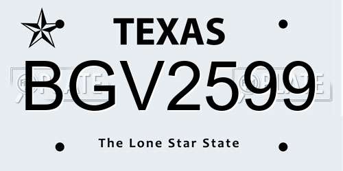 BGV2599 Texas License Plate