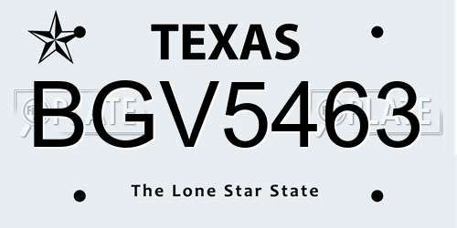 BGV5463 Texas License Plate