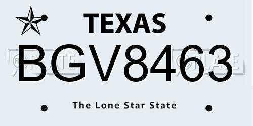 BGV8463 Texas License Plate