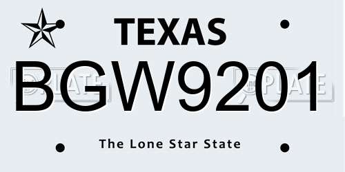 BGW9201 Texas License Plate