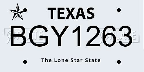 BGY1263 Texas License Plate
