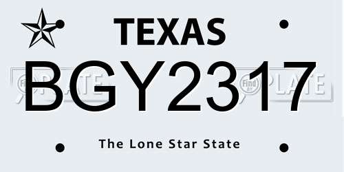 BGY2317 Texas License Plate