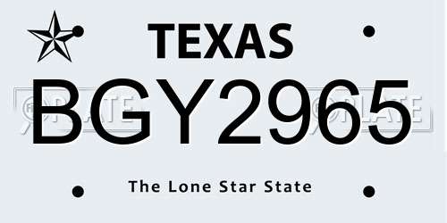 BGY2965 Texas License Plate