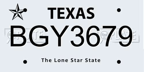 BGY3679 Texas License Plate