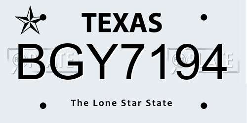 BGY7194 Texas License Plate