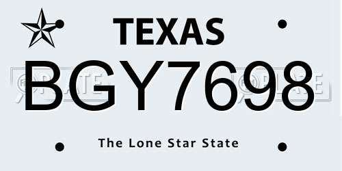 BGY7698 Texas License Plate