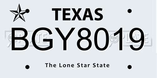 BGY8019 Texas License Plate