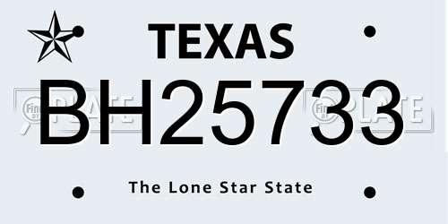 BH25733 Texas License Plate
