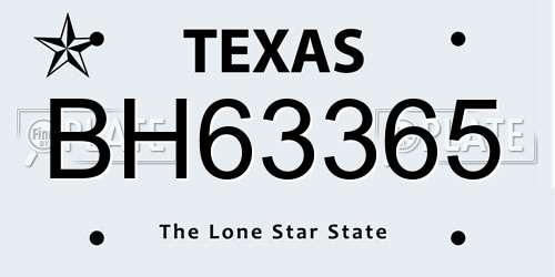 BH63365 Texas License Plate